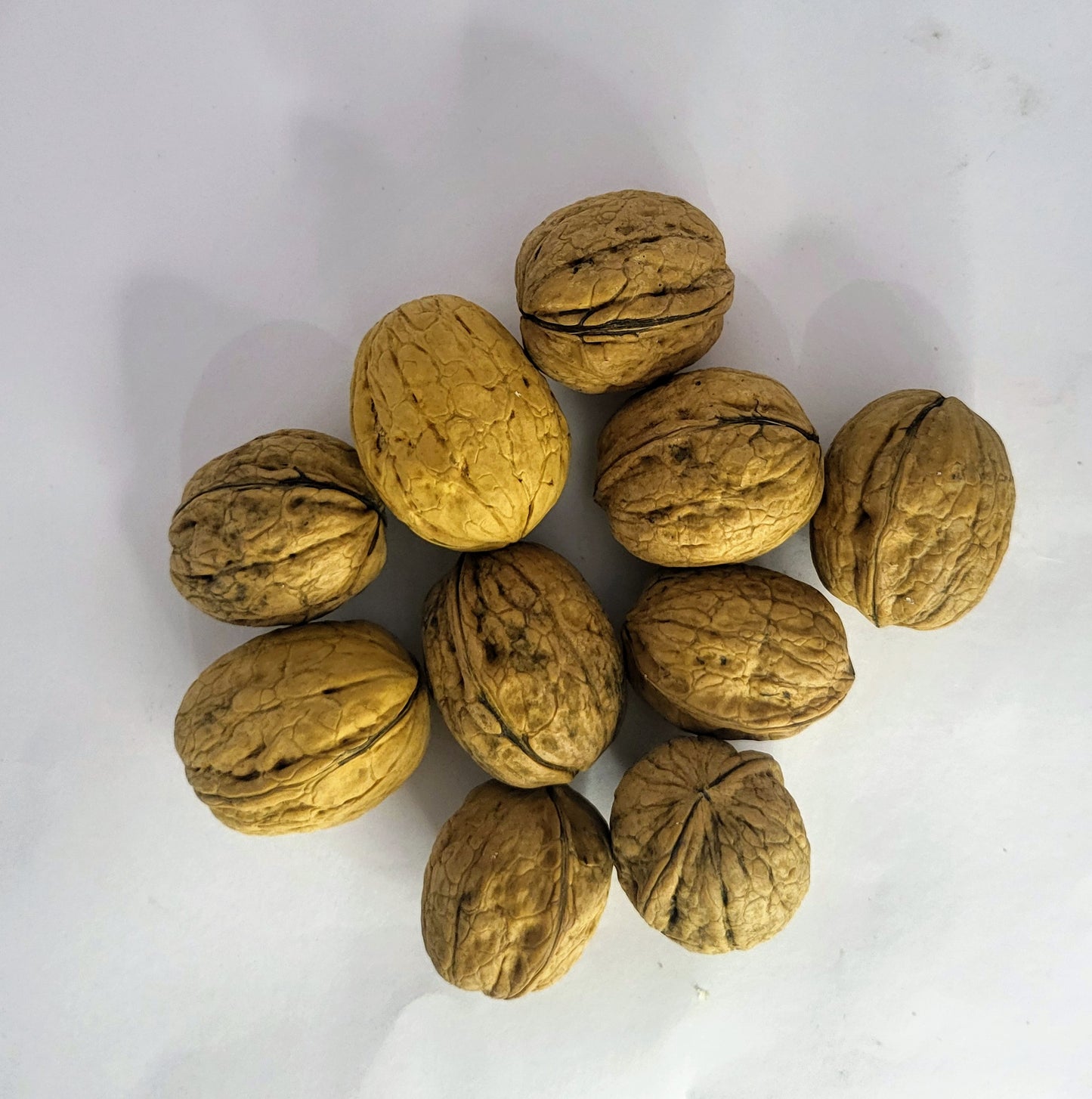 Nutsia California Walnuts